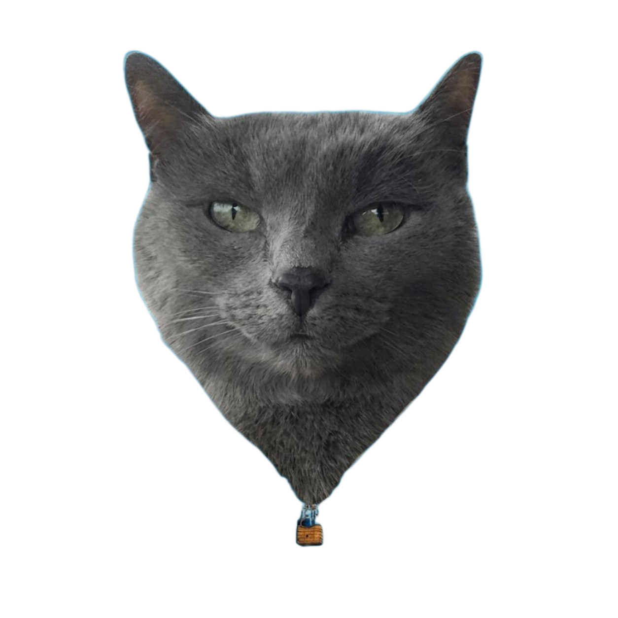 Balloon Cat drifting in the sky
